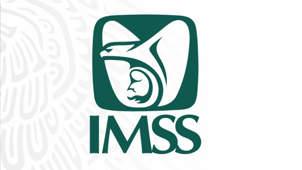 5 aspectos que debes conocer antes de darte de alta en el IMSS